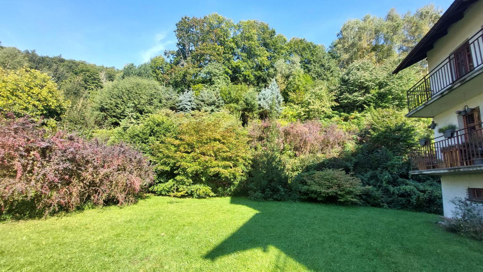 Apartament Miedzygorski Miedzygorze Dış mekan fotoğraf