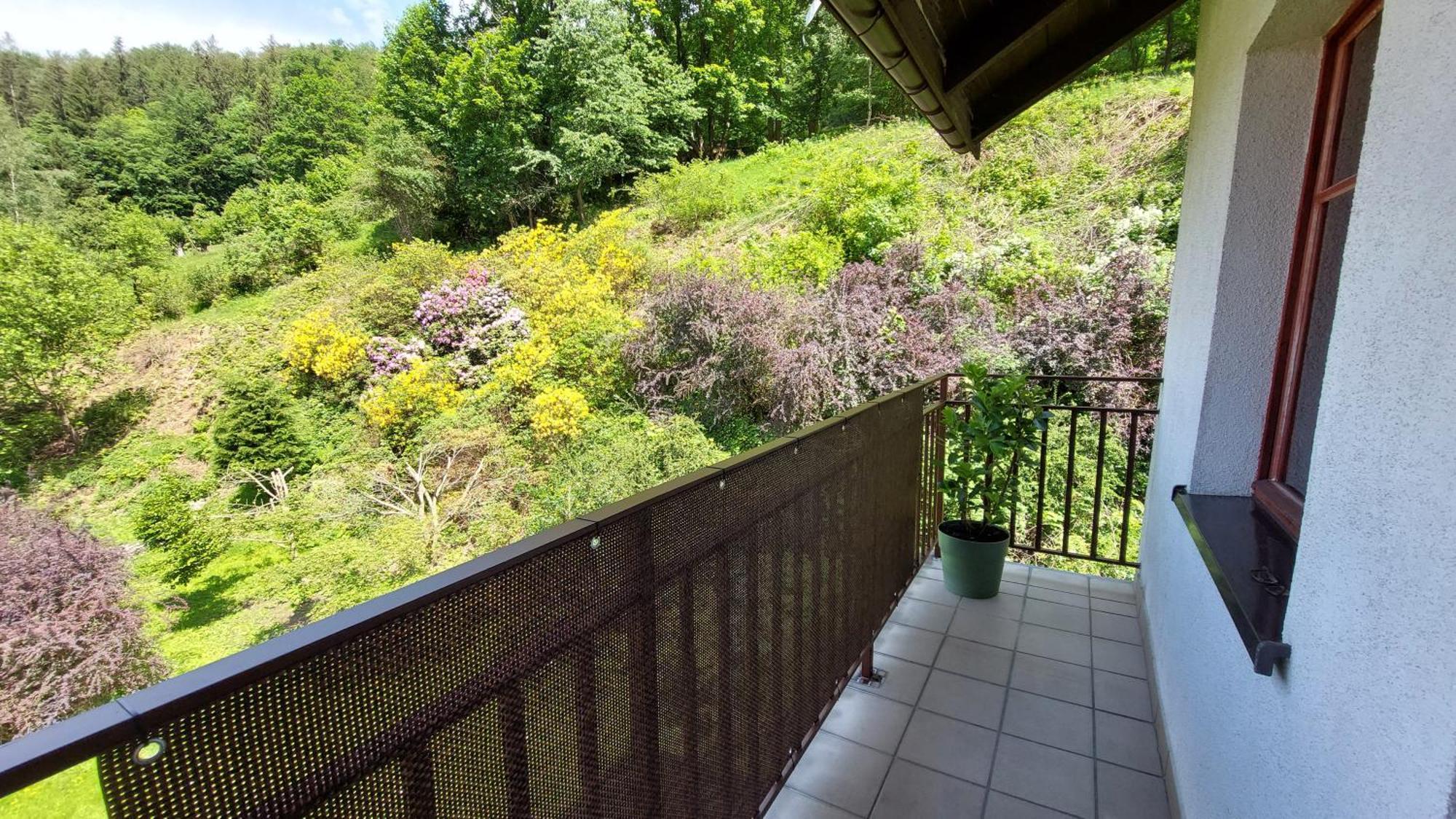 Apartament Miedzygorski Miedzygorze Dış mekan fotoğraf