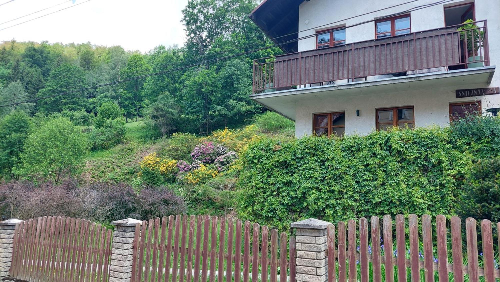 Apartament Miedzygorski Miedzygorze Dış mekan fotoğraf