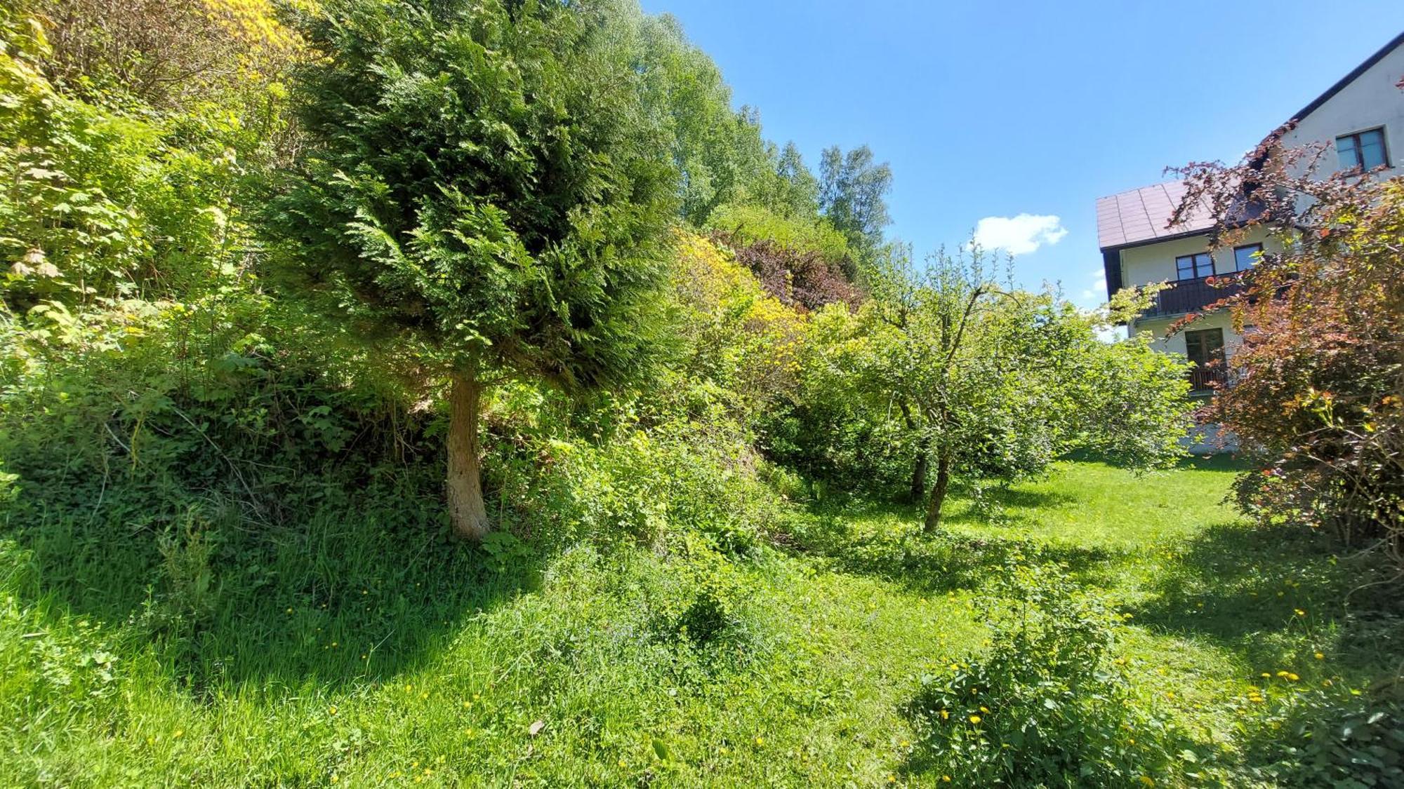 Apartament Miedzygorski Miedzygorze Dış mekan fotoğraf